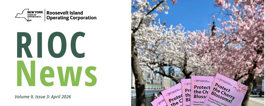 Volume 9, Issue 3: Friday, April 10, 2026